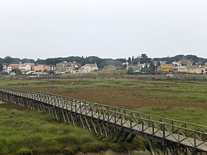 Archivo:Panoramica de Bellavista, Huelva