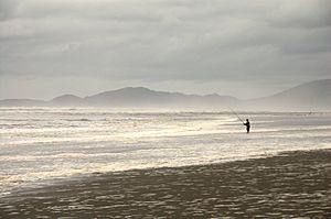 Archivo:Playa de Mar Brava, Chiloé