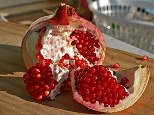 Archivo:Pomegranate