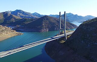 Puente Carlos Fernández Casado.jpg