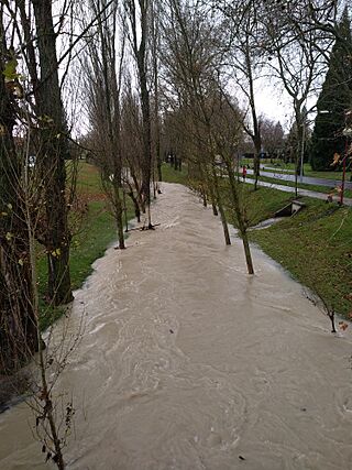 Río Sadar en Pamplona - 01.jpg