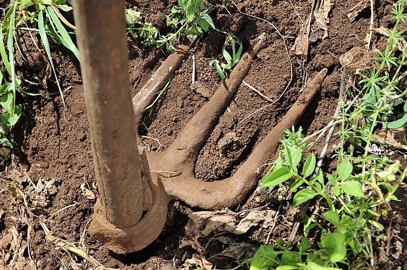 Rake in Kenya