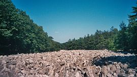 Archivo:River of rocks at the Hawk Mountain, Pennsylvania 2007