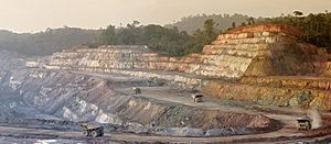 Archivo:Rosebel mining 4 big