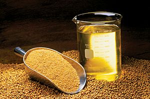 Archivo:Soybean Oil, Meal and Beans (10059732523)