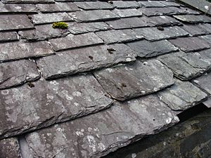 Archivo:St Fagans Tannery 7