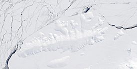 ThurstonIsland Terra MODIS.jpg