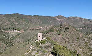 Archivo:Torre Castillo Montornés