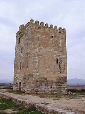 Torre dels Frares.jpg
