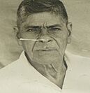 Archivo:Tránsito Suazo