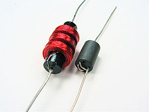 Archivo:Two inductors (437342545)