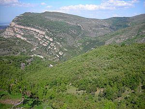 Archivo:Vista del cañón del Leza desde Trevijano