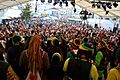 ALHAMA carnaval domingo piñata2014