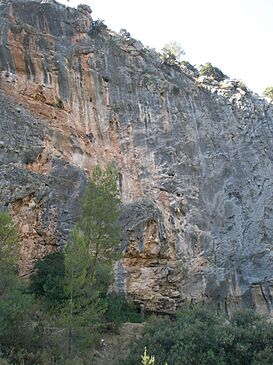 Abrigo de la Cueva del Niño.JPG