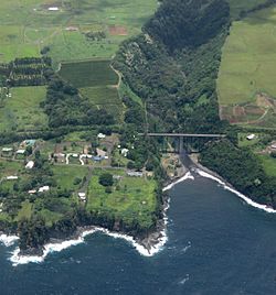 Aerial view of Hakalau Bay, 2009-07-25.jpg