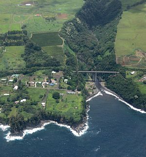 Archivo:Aerial view of Hakalau Bay, 2009-07-25