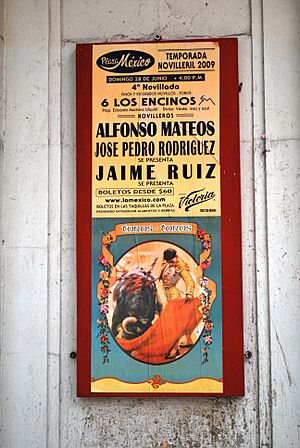 Archivo:AnuncioNovilladaDF