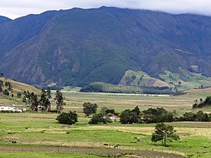 Archivo:Arcabuco Rural Detalle