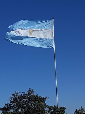 Archivo:Argentine flag waving