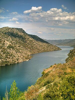 Archivo:Arribes del Duero - Saucelle