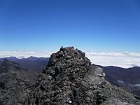 Archivo:Ascenso Pico Mucuñuque (Sierra Santo Domingo-Merida) (21)