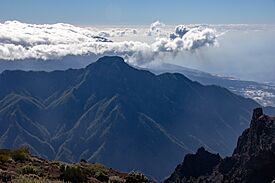 At La Palma 2021 0953.jpg