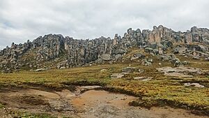 Archivo:Bosque de piedras de Huayllay
