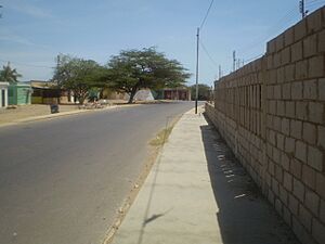 Archivo:Callesdenuevopueblo2