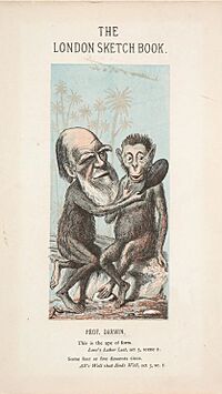 Archivo:Caricatura de Darwin