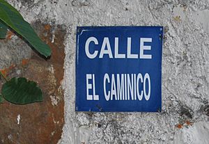 Archivo:Cartel de la Calle el Caminico