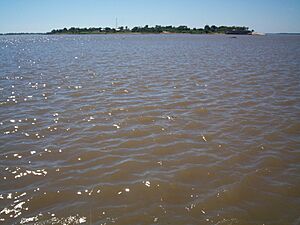 Archivo:Ciudad de Alberdi, vista desde el río Paraguay
