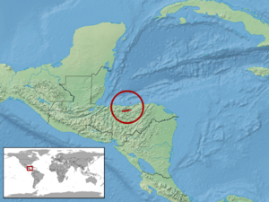 Archivo:Ctenosaura melanosterna distribution