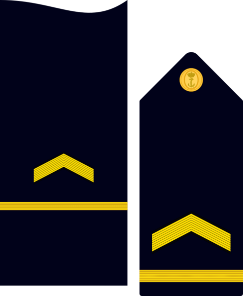 Divipalaarmadaes 12