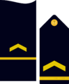 Divipalaarmadaes 12
