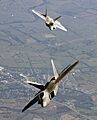 FA22 Raptors Oct2005 yfb edit