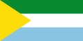 Flag of San Vicente de Caguán (Caquetá)