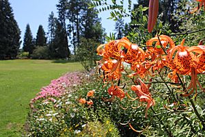 Archivo:Flowers at Summerland Ornamental Gardens