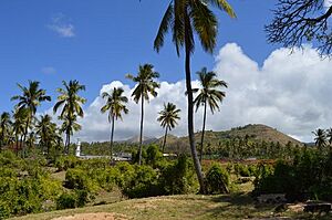 Archivo:Hatsinzi comores2
