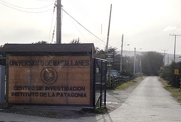 Archivo:Instituto de la patagonia