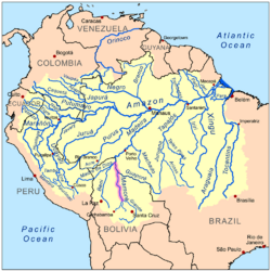 La especie habita en la cuenca del río Mamoré.