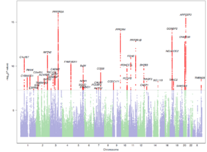Archivo:Manhattan Plot del Gwas de la Dislexia