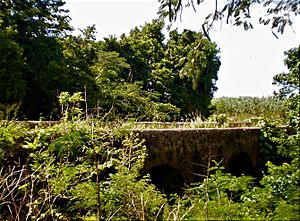 Archivo:Molasses Bridge (parroquia de Saint John's, Barbados).