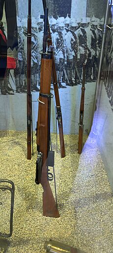 Archivo:Mondragon Rifle at the Museo Nacional de Historia, 2023
