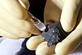 Murchison-meteorite-ANL