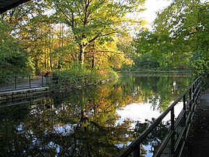 Archivo:ProspectParkReflections7957