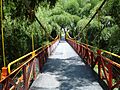 Puente colgante parque del cafe