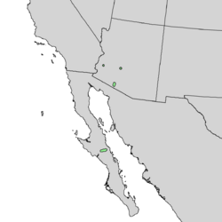 Distribución natural de Quercus ajoensis