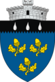 ROU SV Musenita CoA