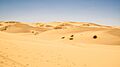 Samalayuca Dunes
