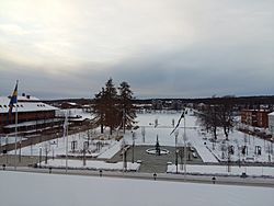 Skellefteå stadshus och stadspark.jpg